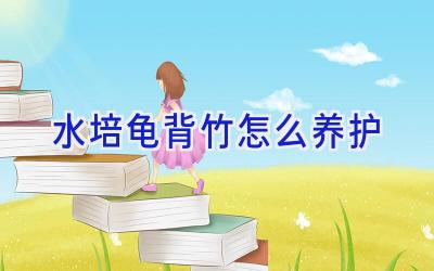 水培龟背竹怎么养护插图 水培龟背竹怎么养护插图