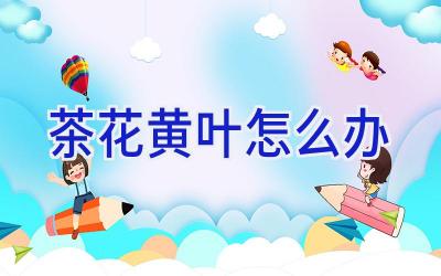 茶花黄叶怎么办插图 茶花黄叶怎么办插图