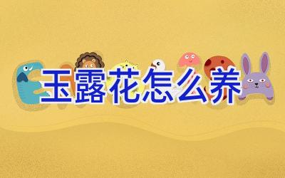 玉露花怎么养插图 玉露花怎么养插图