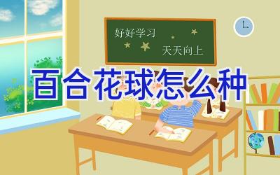 百合花球怎么种插图 百合花球怎么种插图