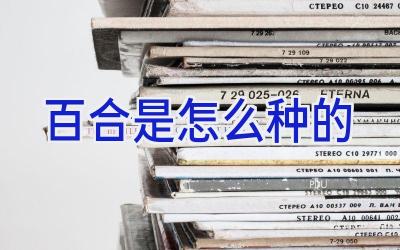 百合是怎么种的插图 百合是怎么种的插图