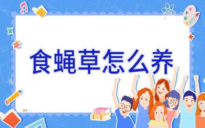 食蝇草怎么养插图