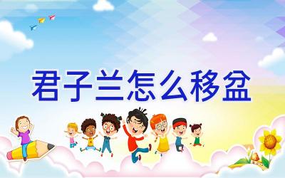 君子兰怎么移盆插图