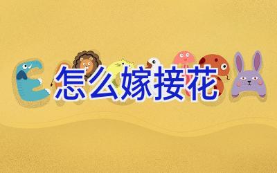 怎么嫁接花插图 怎么嫁接花插图