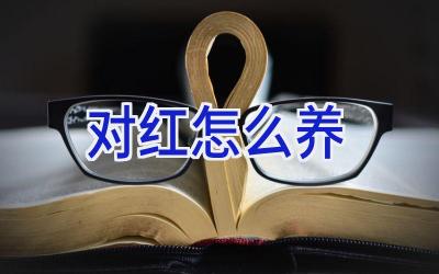 对红怎么养插图 对红怎么养插图