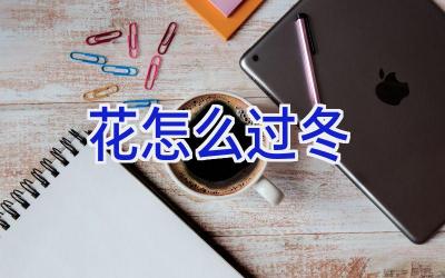 花怎么过冬插图 花怎么过冬插图