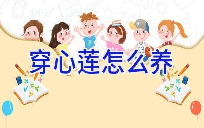 穿心莲怎么养插图 穿心莲怎么养插图