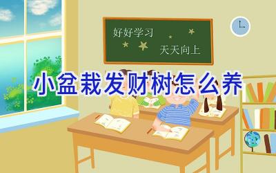 小盆栽发财树怎么养插图