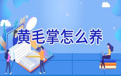 黄毛掌怎么养插图 黄毛掌怎么养插图