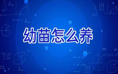 幼苗怎么养插图 幼苗怎么养插图