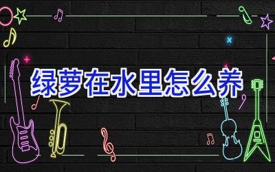 绿萝在水里怎么养插图 绿萝在水里怎么养插图