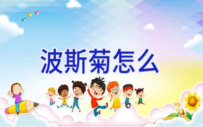 波斯菊怎么插图 波斯菊怎么插图