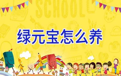 绿元宝怎么养插图 绿元宝怎么养插图