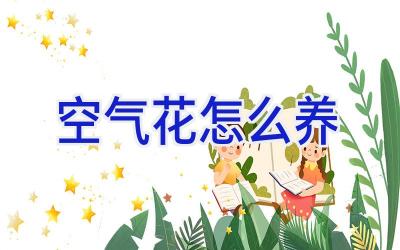 空气花怎么养插图 空气花怎么养插图