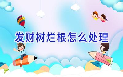 发财树烂根怎么处理插图 发财树烂根怎么处理插图