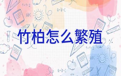 竹柏怎么繁殖插图