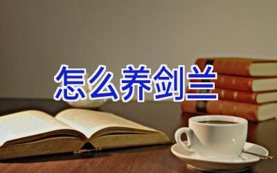 怎么养剑兰插图 怎么养剑兰插图