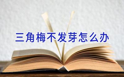 三角梅不发芽怎么办插图 三角梅不发芽怎么办插图