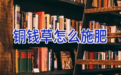 铜钱草怎么施肥插图 铜钱草怎么施肥插图