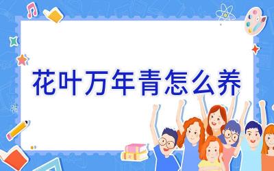 花叶万年青怎么养插图 花叶万年青怎么养插图