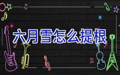 六月雪怎么提根插图