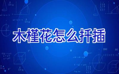 木槿花怎么扦插插图