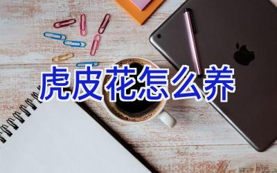 虎皮花怎么养插图