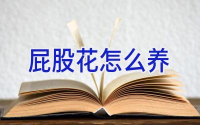 屁股花怎么养插图