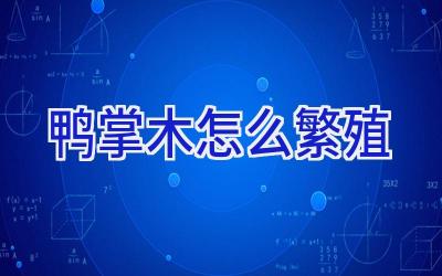 鸭掌木怎么繁殖插图 鸭掌木怎么繁殖插图