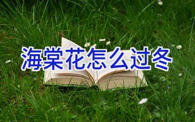 海棠花怎么过冬插图