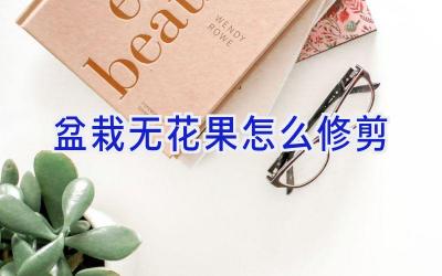 盆栽无花果怎么修剪插图