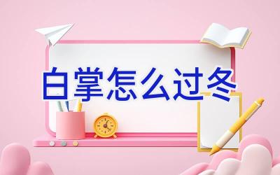 白掌怎么过冬插图 白掌怎么过冬插图