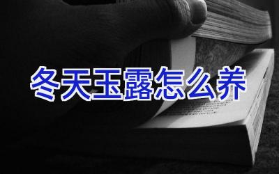 冬天玉露怎么养插图 冬天玉露怎么养插图