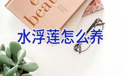 水浮莲怎么养插图 水浮莲怎么养插图