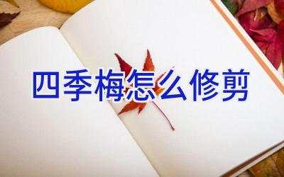 四季梅怎么修剪插图 四季梅怎么修剪插图