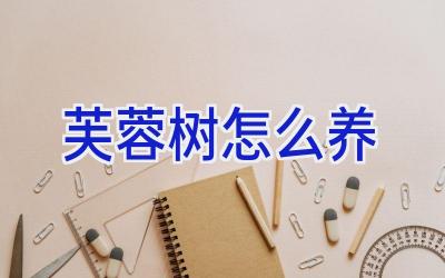 芙蓉树怎么养插图 芙蓉树怎么养插图