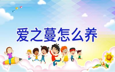 爱之蔓怎么养插图 爱之蔓怎么养插图