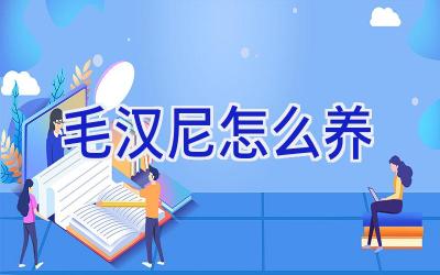 毛汉尼怎么养插图 毛汉尼怎么养插图