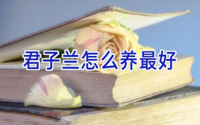 君子兰怎么养最好插图 君子兰怎么养最好插图