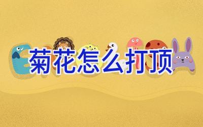 菊花怎么打顶插图