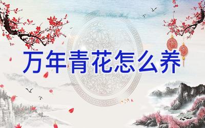 万年青花怎么养插图