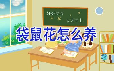 袋鼠花怎么养插图 袋鼠花怎么养插图