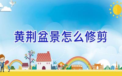 黄荆盆景怎么修剪插图 黄荆盆景怎么修剪插图