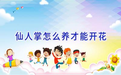 仙人掌怎么养才能开花插图 仙人掌怎么养才能开花插图