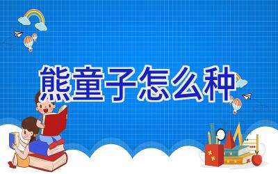 熊童子怎么种插图 熊童子怎么种插图