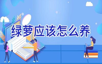 绿萝应该怎么养插图 绿萝应该怎么养插图