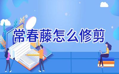 常春藤怎么修剪插图 常春藤怎么修剪插图