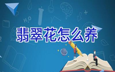 翡翠花怎么养插图