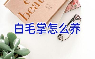 白毛掌怎么养插图 白毛掌怎么养插图