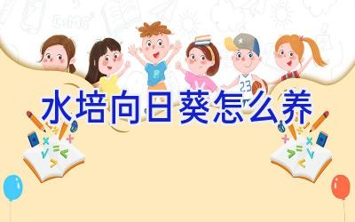 水培向日葵怎么养插图 水培向日葵怎么养插图